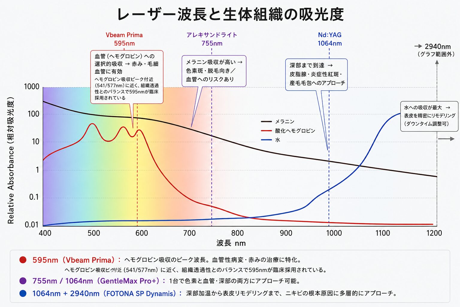 レーザー波長と生体組織の吸光度グラフ(Vbeam Prima・GentleMax Pro+・FOTONA SP Dynamis比較) レーザー波長(400〜1200nm)とメラニン・酸化ヘモグロビン・水の相対吸光度を示したグラフ。Vbeam Prima(595nm)は血管・ヘモグロビンへの選択的吸収、アレキサンドライト(755nm)はメラニン吸収が高く色素斑・脱毛向き、Nd:YAG(1064nm)は深部の皮脂腺・炎症性紅斑へのアプローチ、Er:YAG(2940nm)は水への最大吸収により表皮リモデリングに適することを図示